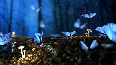 Luminescent blue butterflies and glowing mushrooms representing Surreal Dreams photography collection